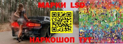 СК Моздок