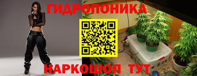 СК Моздок