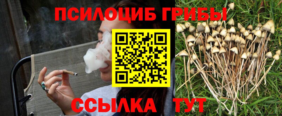 Реутов  Галлюциногенные грибы Psilocybine cubensis  Вход с VPN 