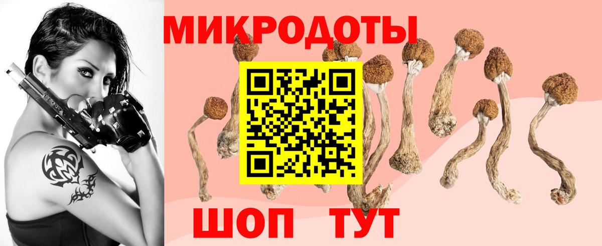 Галлюциногенные грибы MAGIC MUSHROOMS Реутов